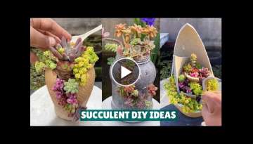 Succulent DIY Ideas from Recycling 
