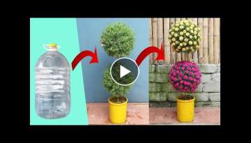 Creative vertical garden from plastic bottles | Gardening ideas for home
