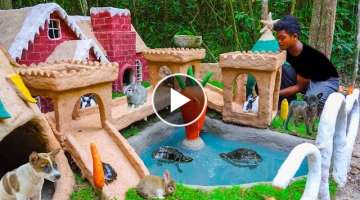 Build Dog House Rabbit House Turtle Pond For Rescue Dog