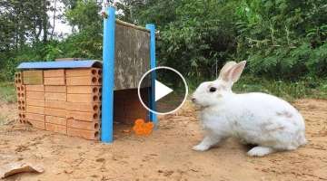 Technique Rabbit Trap Using Old Bricks With Flat Wood